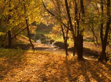 Im Herbst ... / *****************