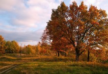 Autumn Path - 2 / _____________________*