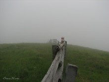 Der Weg in den Nebel ... / ************