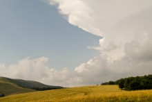 Poloniny Belyna, ein paar Stunden vor einem Gewitter / ***