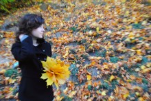 Herbst Kaleidoskop / ********