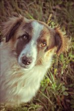 Ich bin klug und gut, nimm mich! / ***