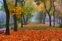Autumn - Schönheit / ***