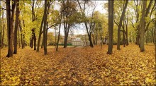 Autumn in Zhilich / ***