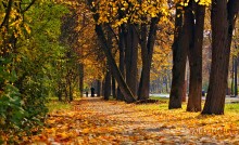 Street photo.The city of Dubna. / ***