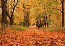 Stepping in den Herbst / ***