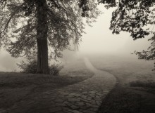 Der Weg von der ... / *****