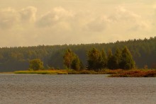 Unter einem freien Wind ... / ****************