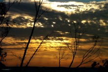 Evening Glow / ***