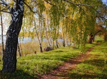 Walk in goldenen Herbst / ***