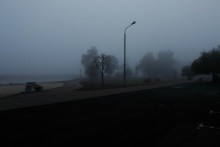 Bäume und Nebel / ***