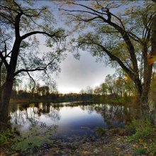 Der alte Teich ... Fortsetzung .... / ***