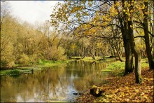 Autumn in einem allgemeinen Park / ***