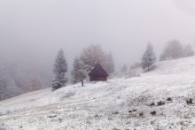 Nebel - Schneefall / ***