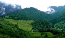 Die Berge in einen dichten Nebel ... / ***