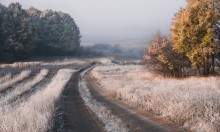 Herbst Frost / ***