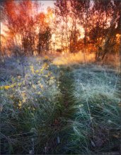 / Das Feuer der Herbst Dämmerung / / ***