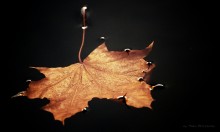 Herbst / ******