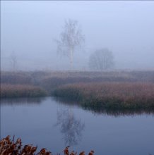 Reflexion der für zwei / ,,,,,,,,,,,