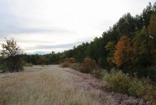 Frosty Morgen im Oktober / _________________________*