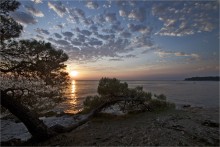 Der Geruch der Pinien, das Meer und Sonnenuntergang. / ***