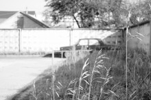 ... Traum der Kindheit ... / ***