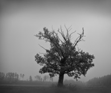 Über Oak beugte sich in den Nebel / ***