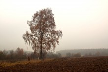 Herbst Melancholie / _______________