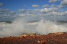 marine Regenbogen / ***