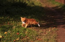 red Herbst / ******