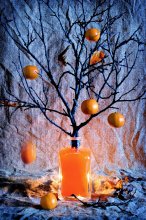 Orange Ernte / ***