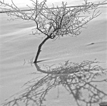 Februar / ***