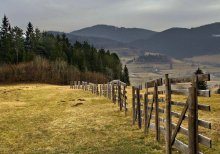 In den Alpen / ***