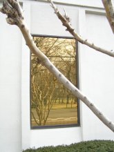 Reflection / ***