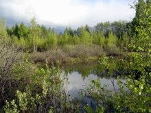 Lake in der Pampa / ***