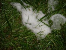 Letzter Schnee ... / ***