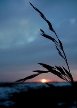 einsam / ***