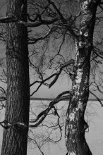 Lovers / ***