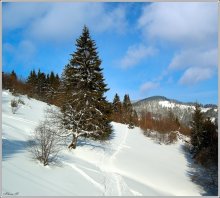 Winter Glamour / ***