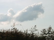 Cloud / ***
