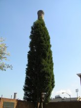 Stop Greenhouse Effect / ***