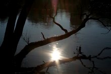Nebensonne / ***
