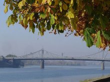 Herbst / ***