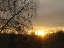 Golden Schmelze / ***
