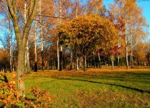 Herbst im Park / ***