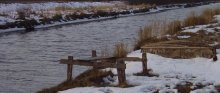 Erwartung / ***