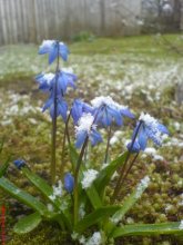 Ostern-2007 / ***