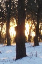 Licht der Seele / ***