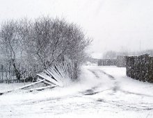 und wieder Schneesturm ... / ***