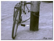 rovar / ***